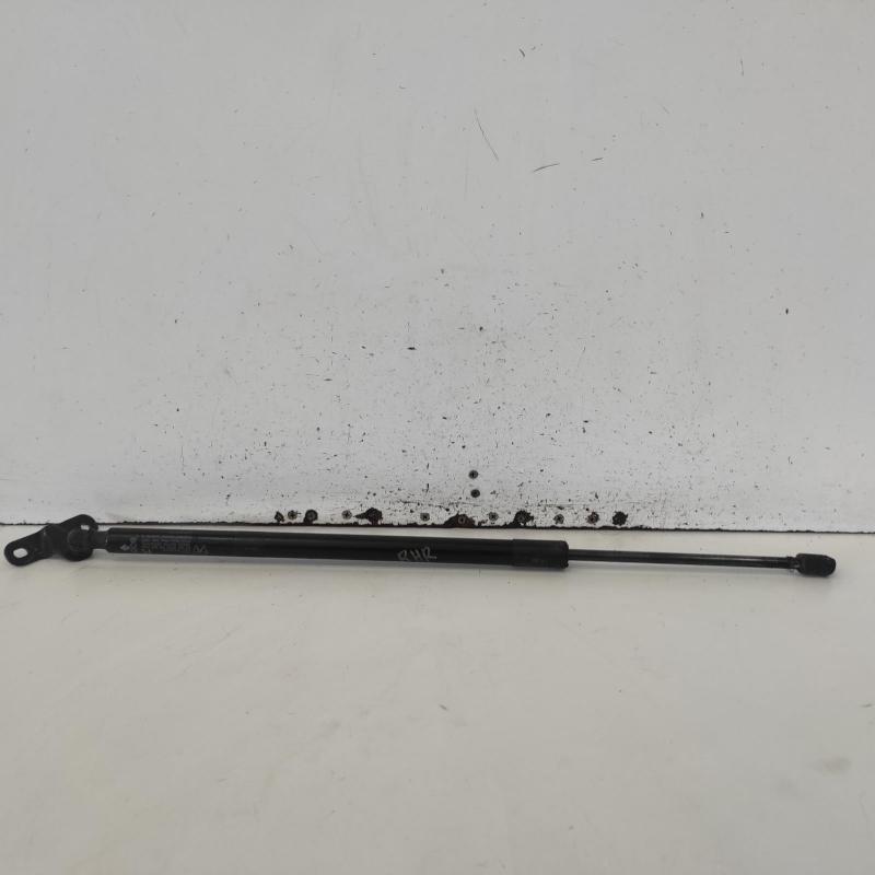 hatch strut