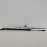 hatch strut