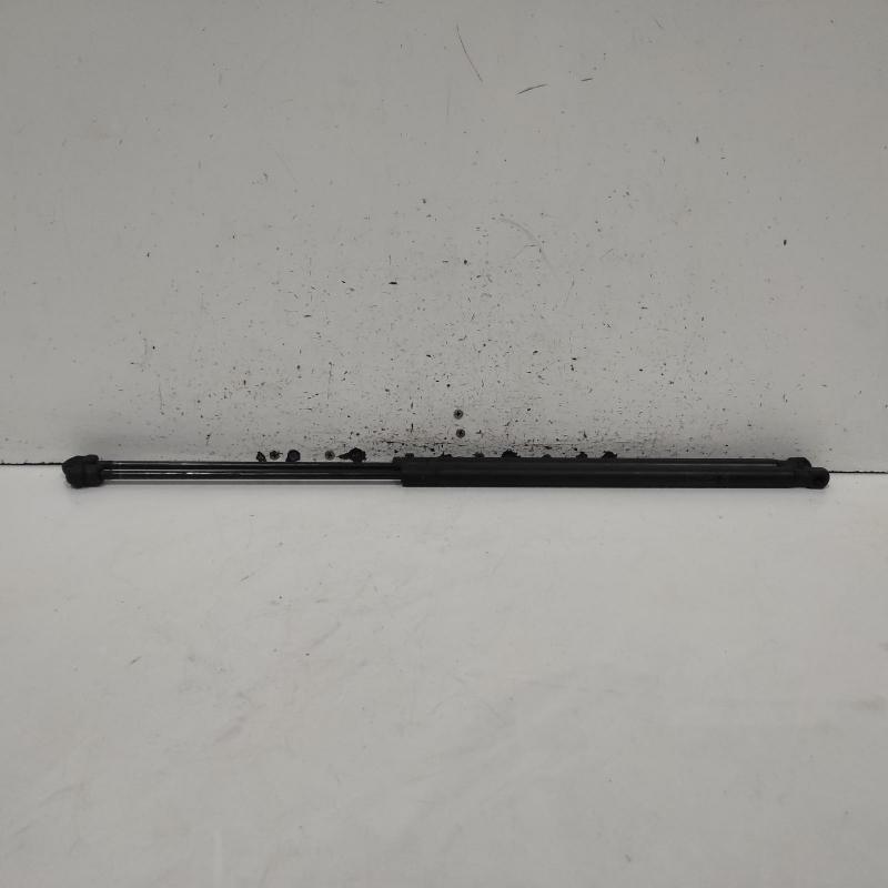 bonnet hinge/strut