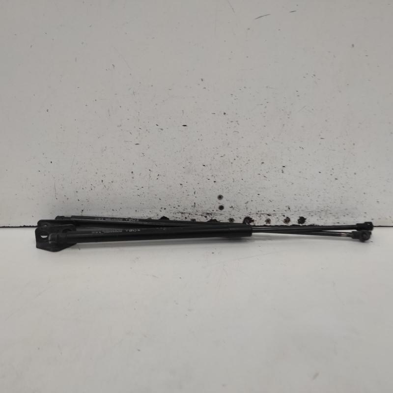 hatch strut
