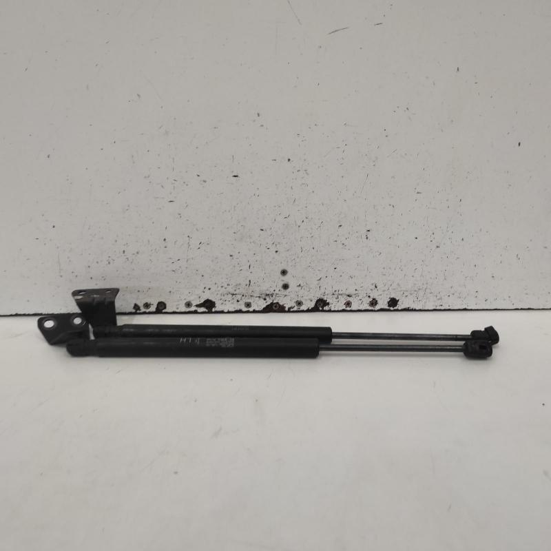 bonnet hinge/strut