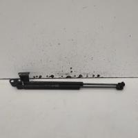 bonnet hinge/strut