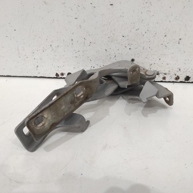 bonnet hinge/strut
