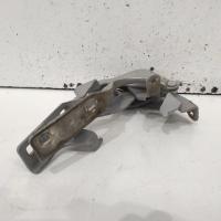 bonnet hinge/strut