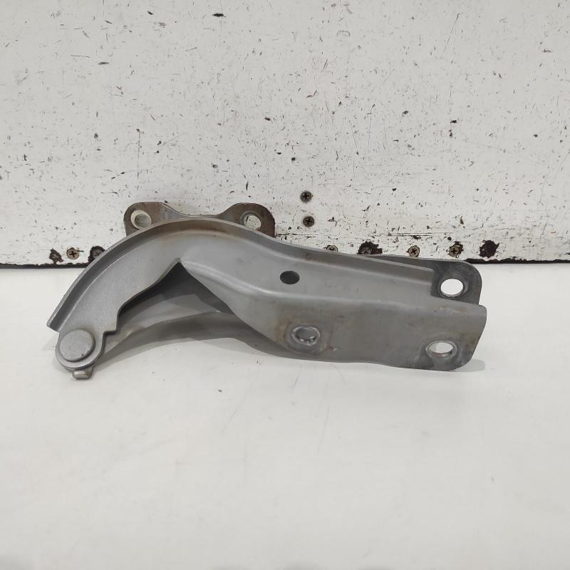bonnet hinge/strut