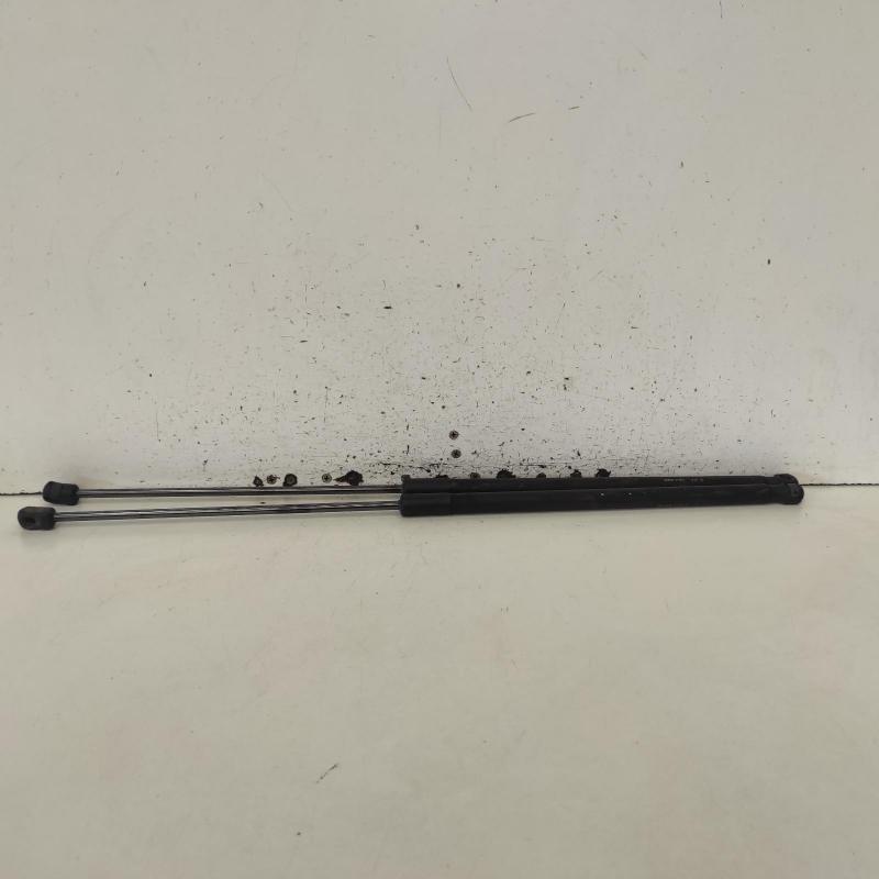 bonnet hinge/strut