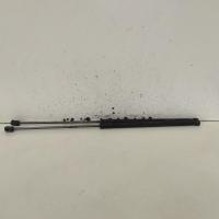 bonnet hinge/strut