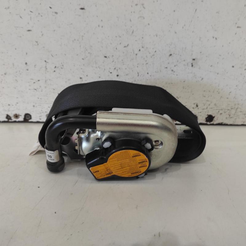 seat belt stalk