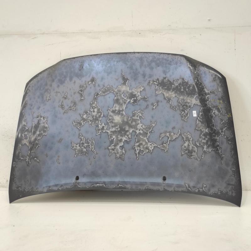 bonnet