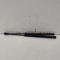 hatch strut