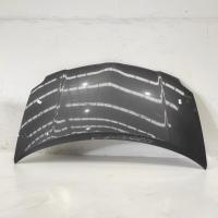 bonnet
