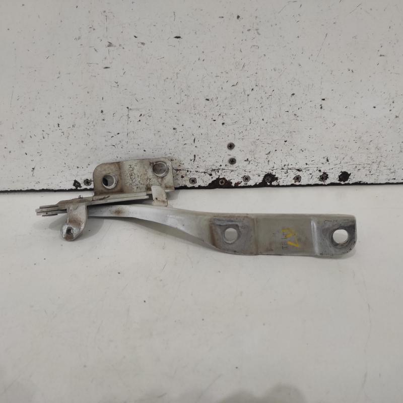 bonnet hinge/strut