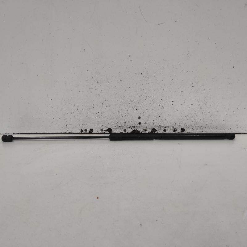 bonnet hinge/strut