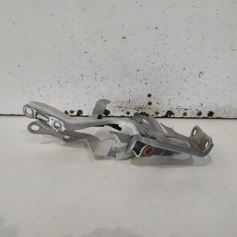 bonnet hinge/strut