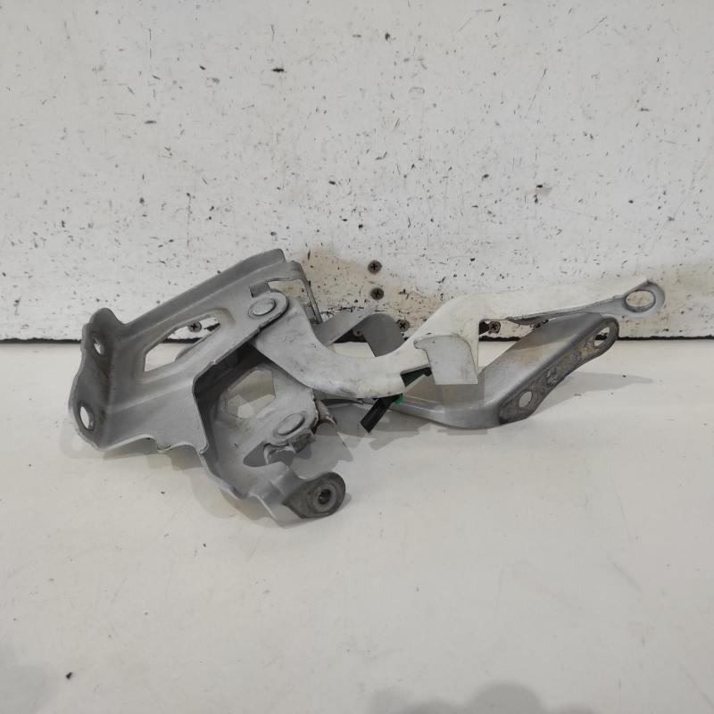 bonnet hinge/strut