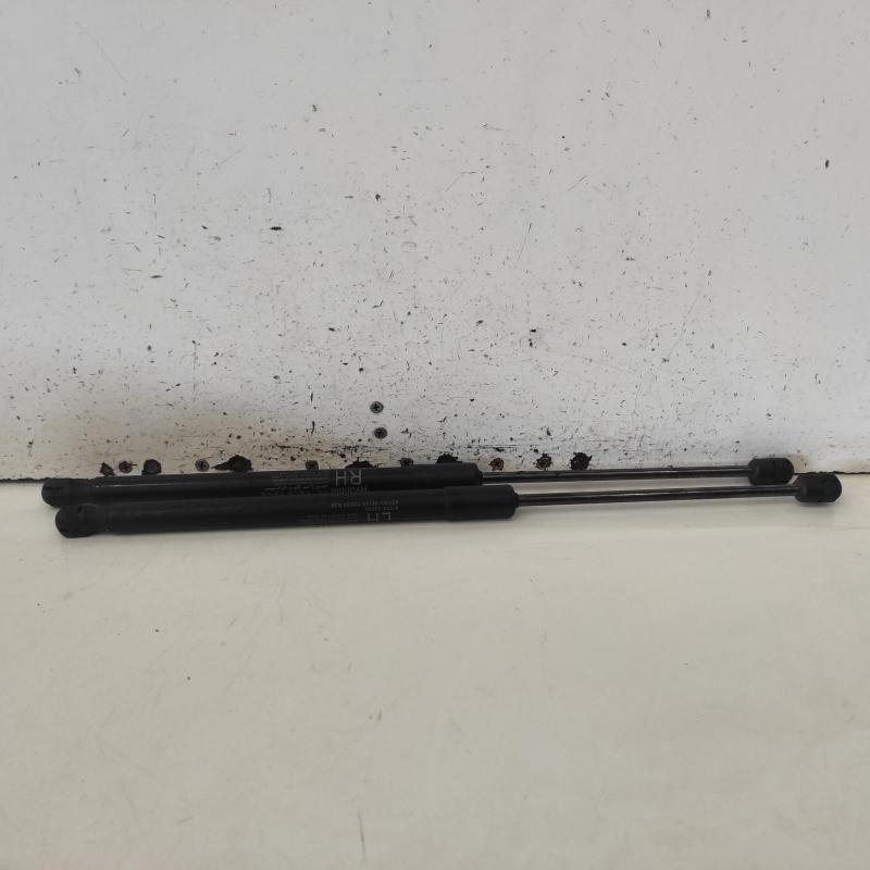 hatch strut