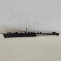 hatch strut
