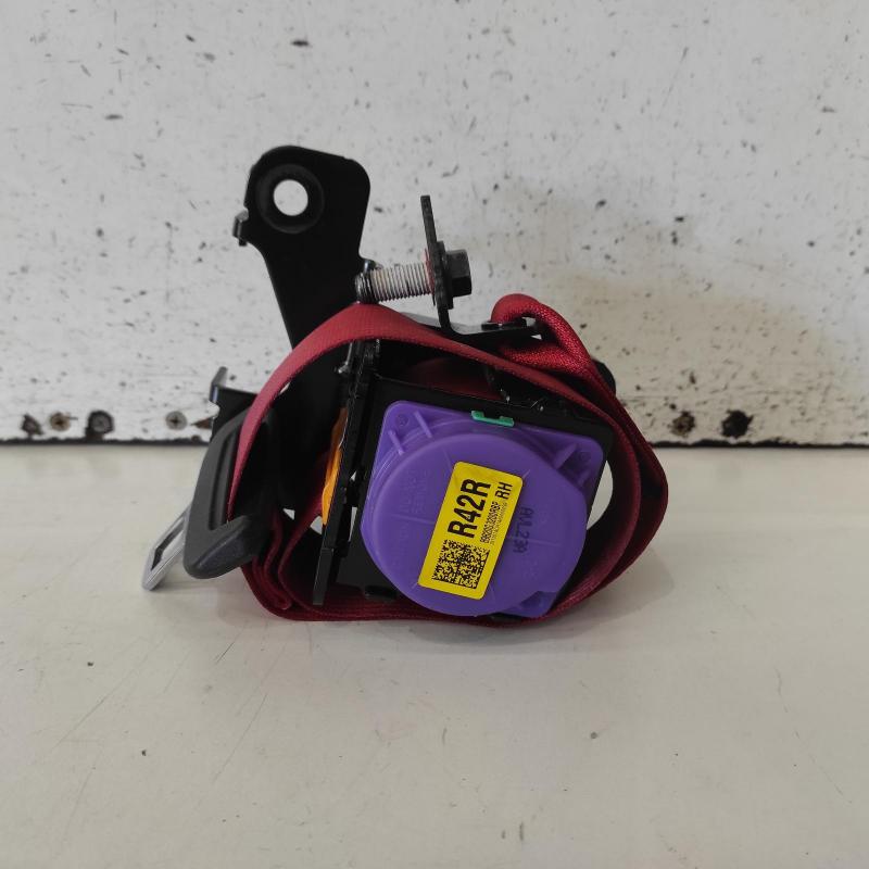 seat belt stalk