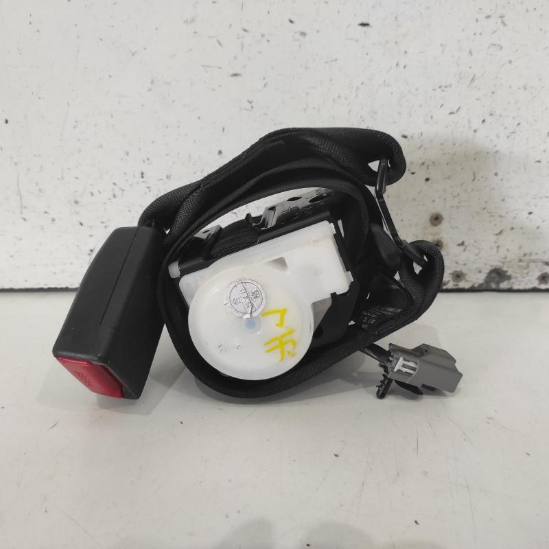seat belt stalk