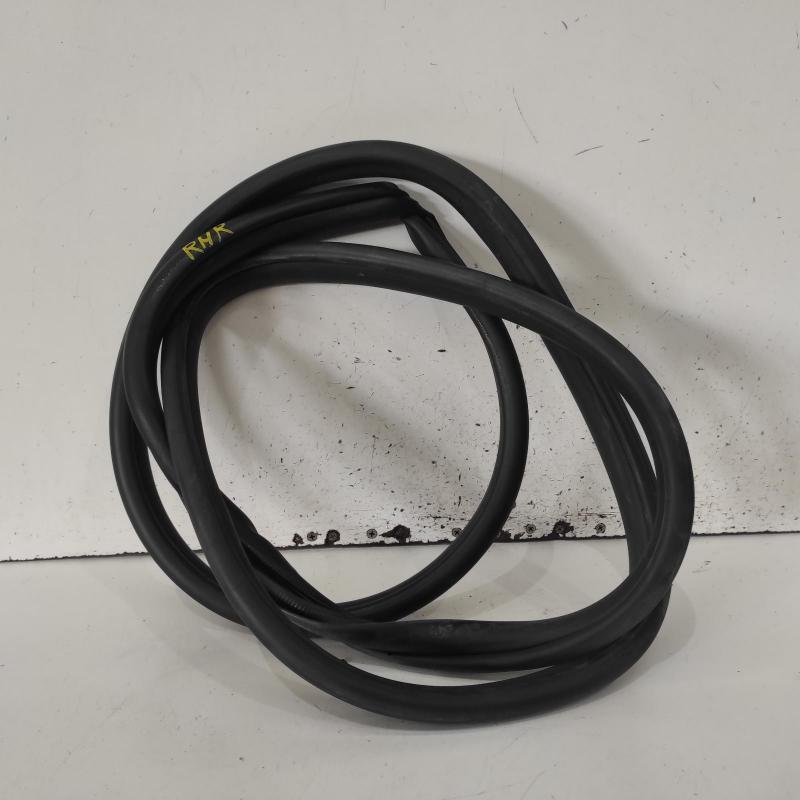 body seal ruber