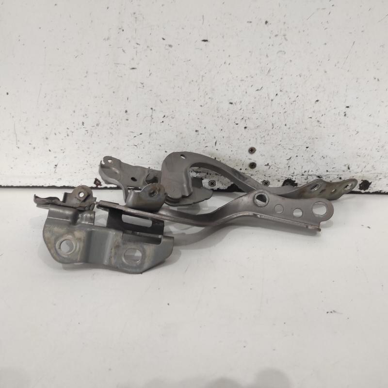 bonnet hinge/strut