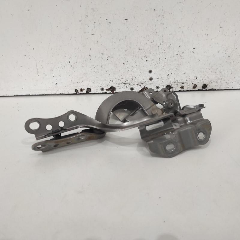 bonnet hinge/strut