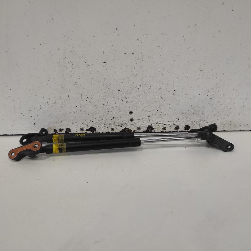hatch strut