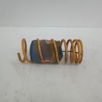 coil spring rear