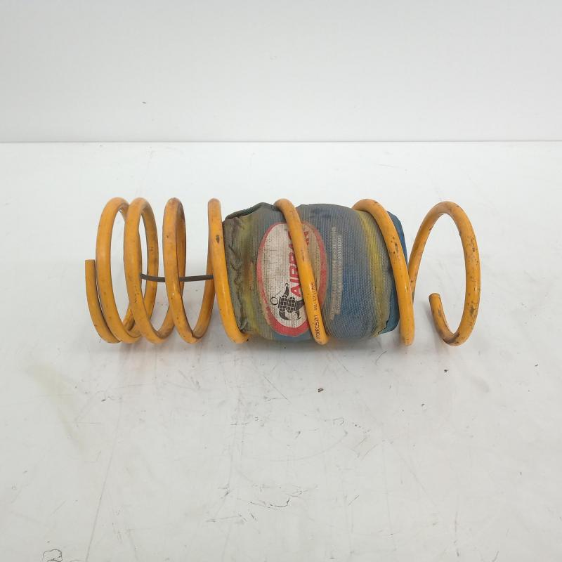 coil spring rear