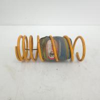 coil spring rear