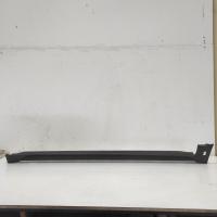 body/door mould