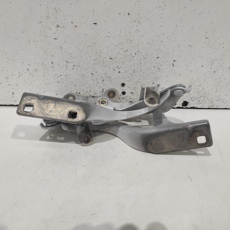 bonnet hinge/strut