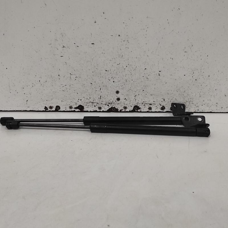 bonnet hinge/strut