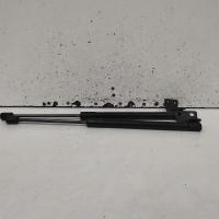 bonnet hinge/strut