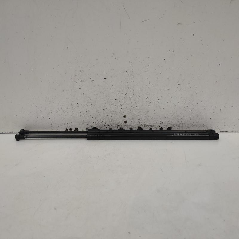 hatch strut