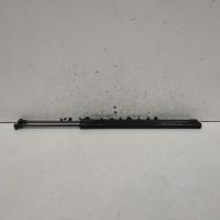 hatch strut