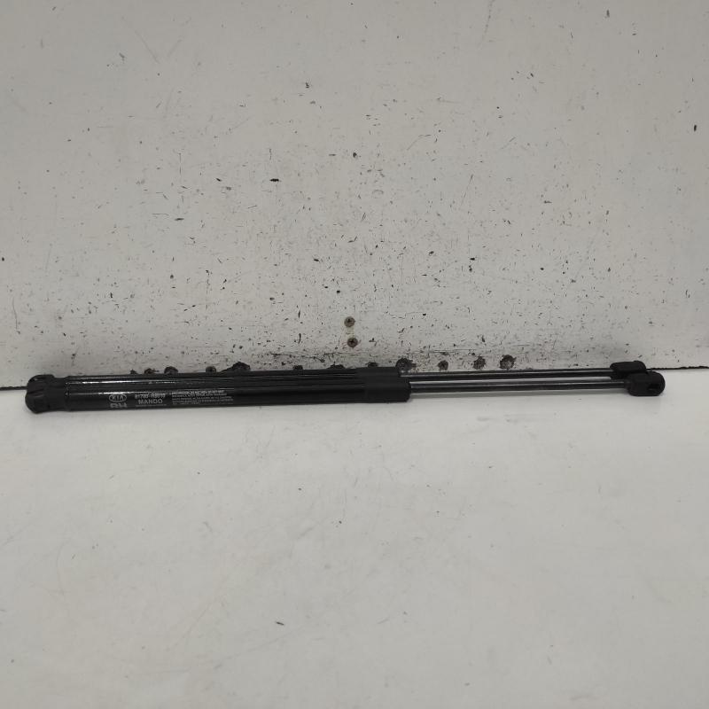 hatch strut