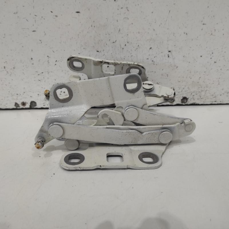 bonnet hinge/strut
