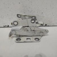 bonnet hinge/strut
