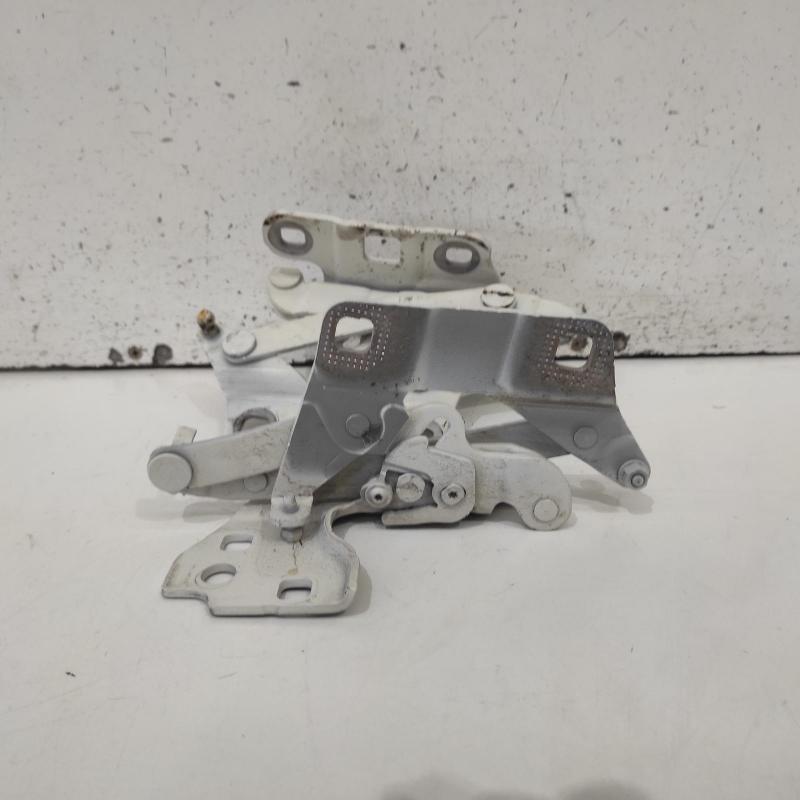 bonnet hinge/strut