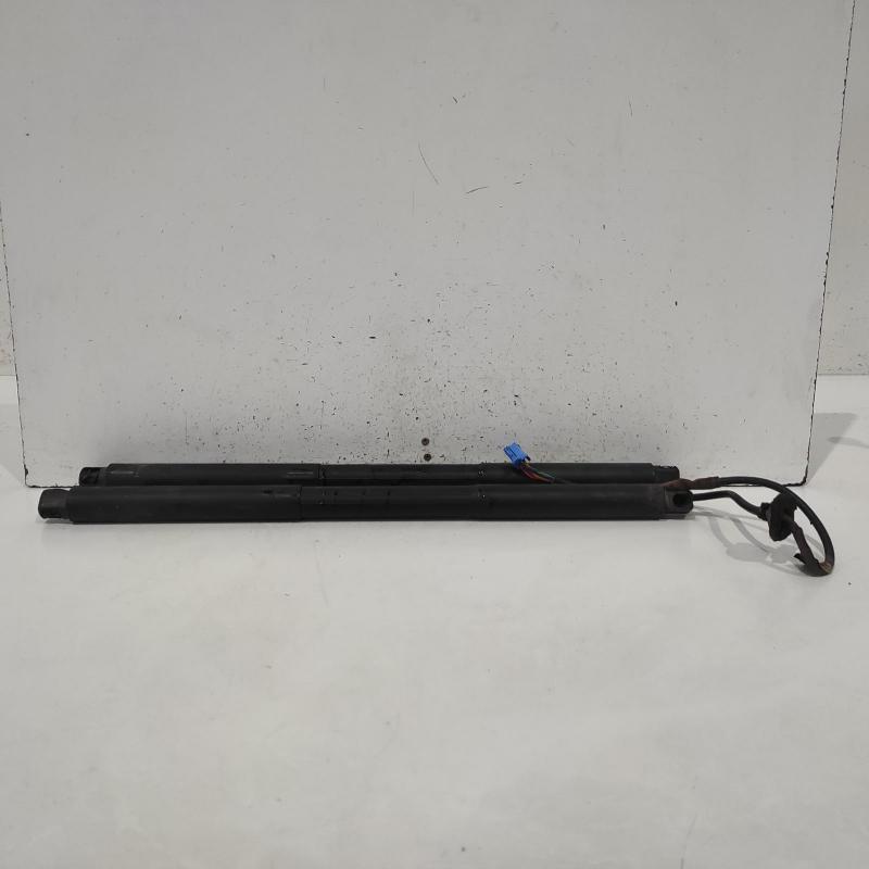 hatch strut