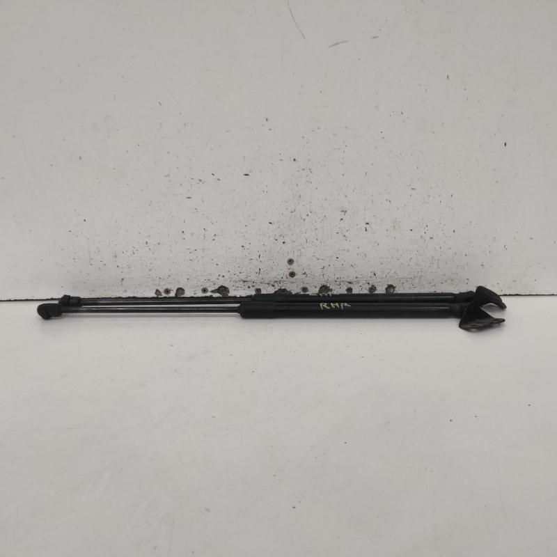 hatch strut