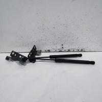 bonnet hinge/strut