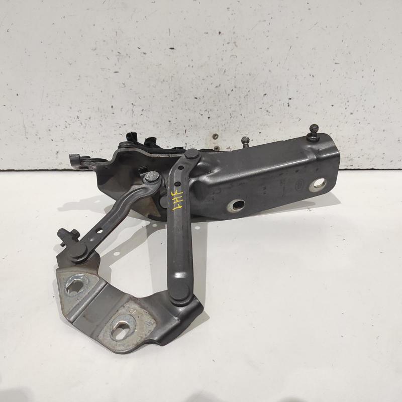 bonnet hinge/strut