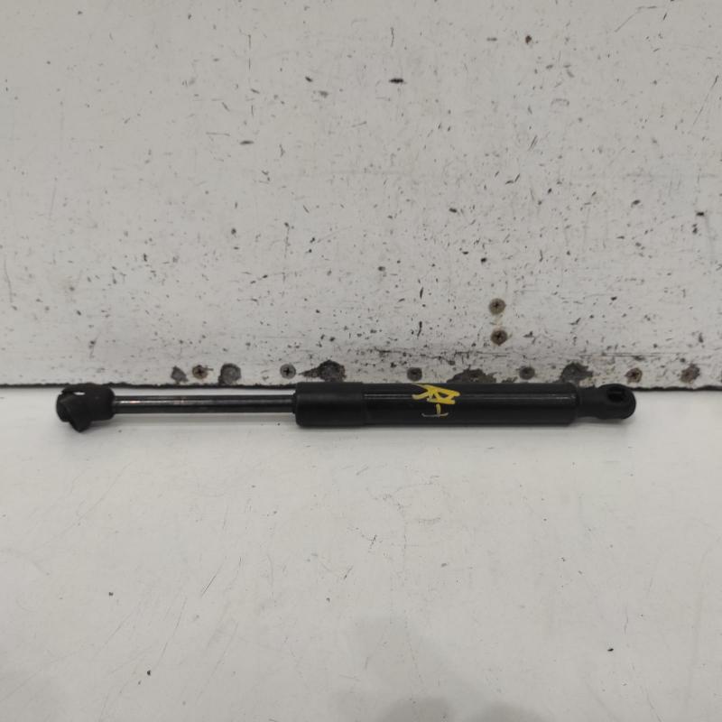 bonnet hinge/strut