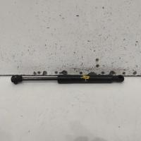 bonnet hinge/strut