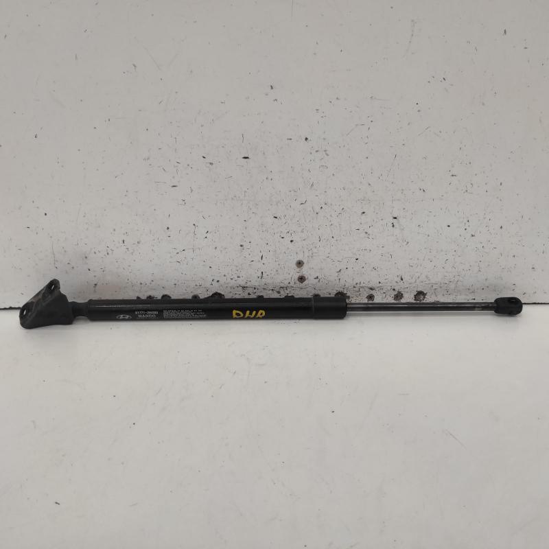 hatch strut