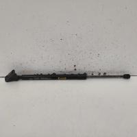 hatch strut