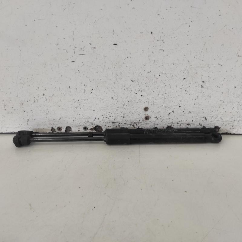 bonnet hinge/strut