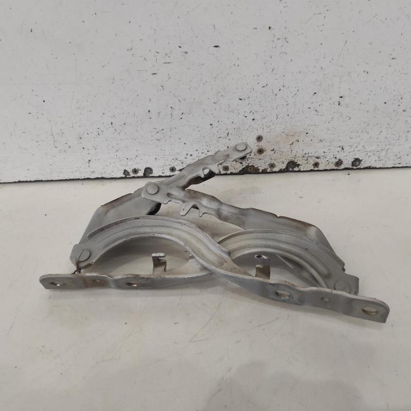 bonnet hinge/strut